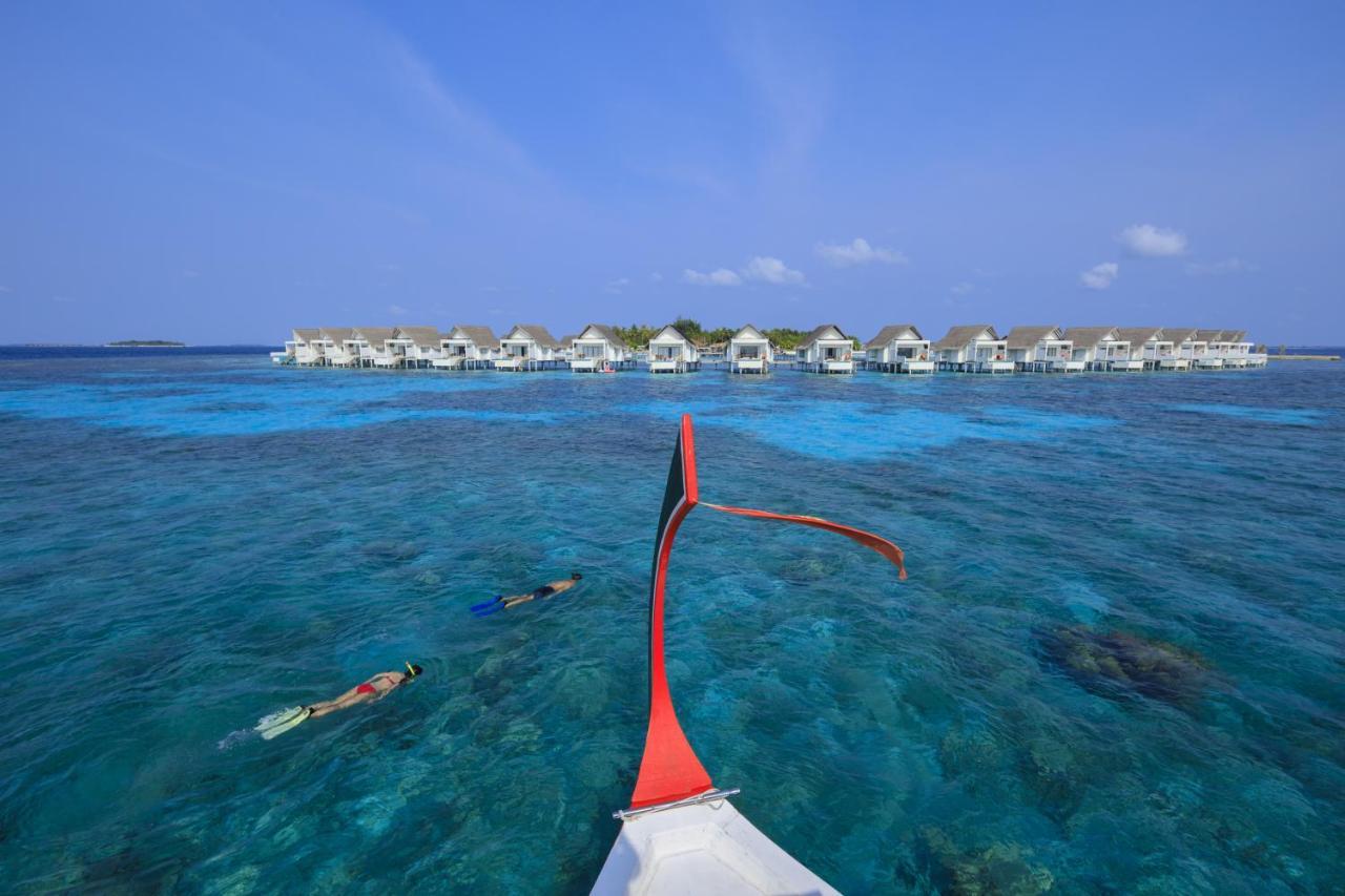 Курортный комплекс The Centara Collection, Island & Maldives - 30 Percent Discount On Transfers For Min 4 Nights And More, Valid For Reservations Between 11th Feb 22 Dec 2025 Machchafushi
