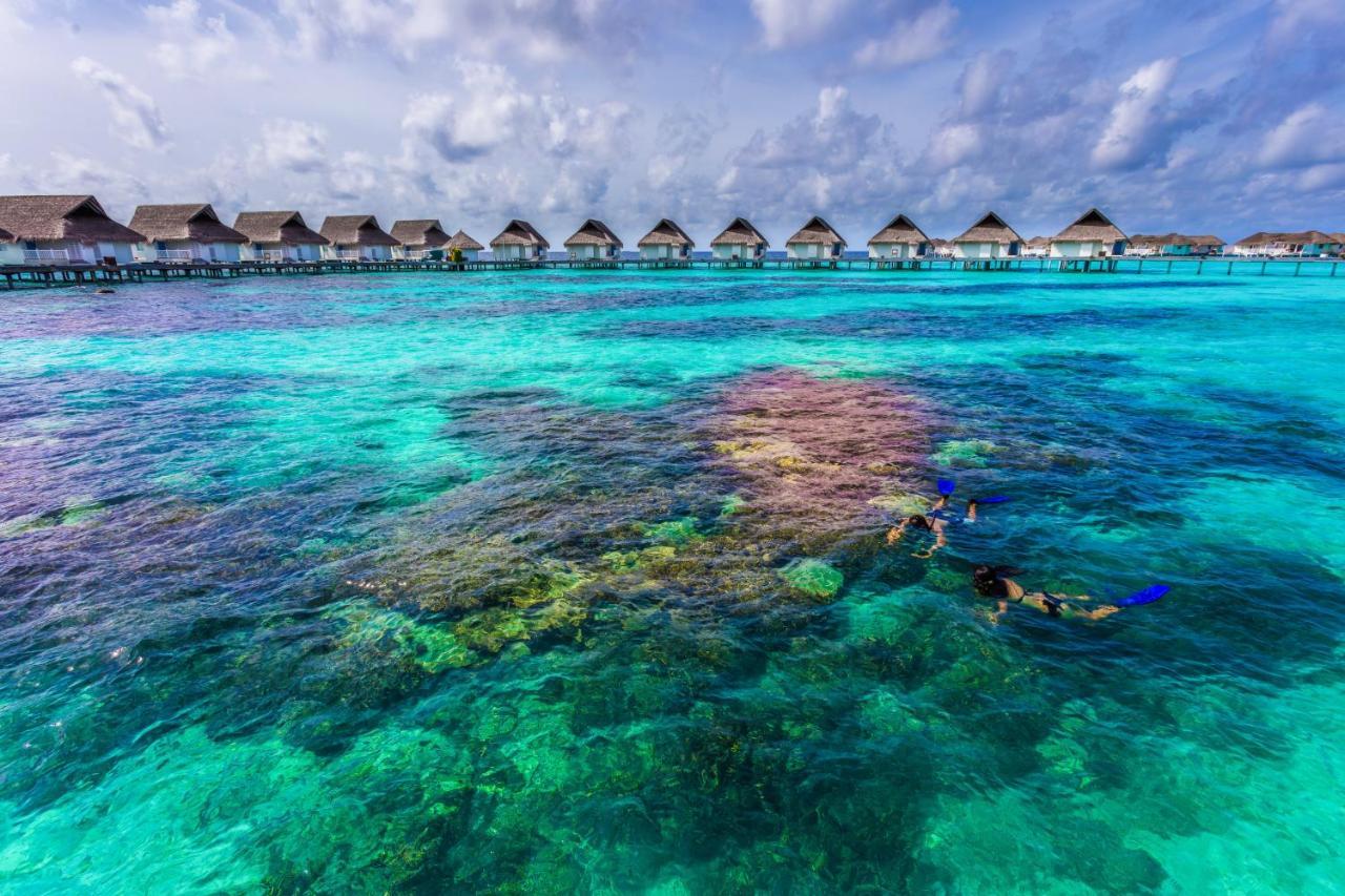 The Centara Collection, Island & Maldives - 30 Percent Discount On Transfers For Min 4 Nights And More, Valid For Reservations Between 11th Feb 22 Dec 2025 Machchafushi