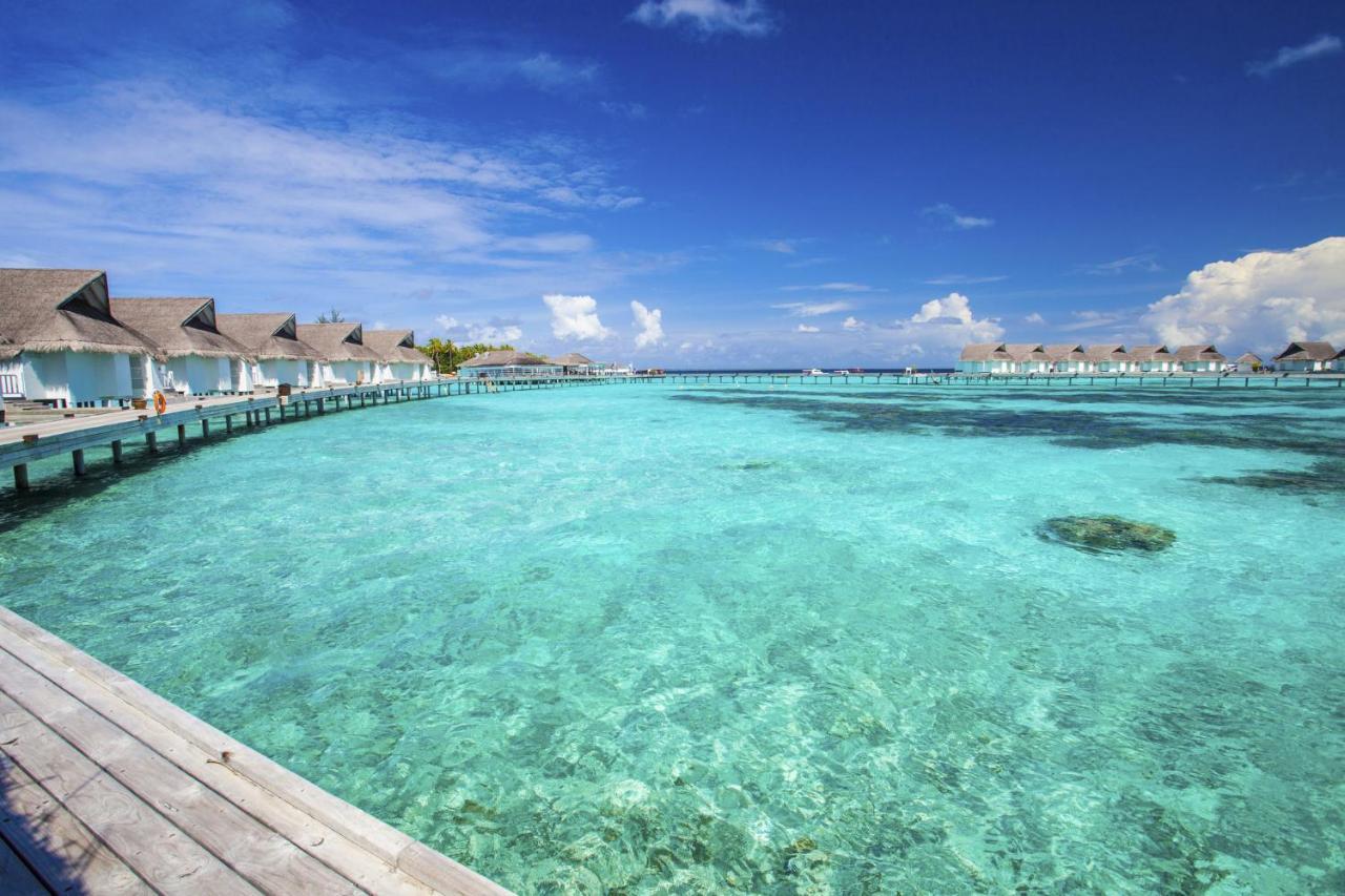 The Centara Collection, Island & Maldives - 30 Percent Discount On Transfers For Min 4 Nights And More, Valid For Reservations Between 11th Feb 22 Dec 2025 5* Machchafushi
