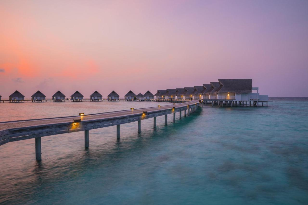 The Centara Collection, Island & Maldives - 30 Percent Discount On Transfers For Min 4 Nights And More, Valid For Reservations Between 11th Feb 22 Dec 2025 5* Machchafushi