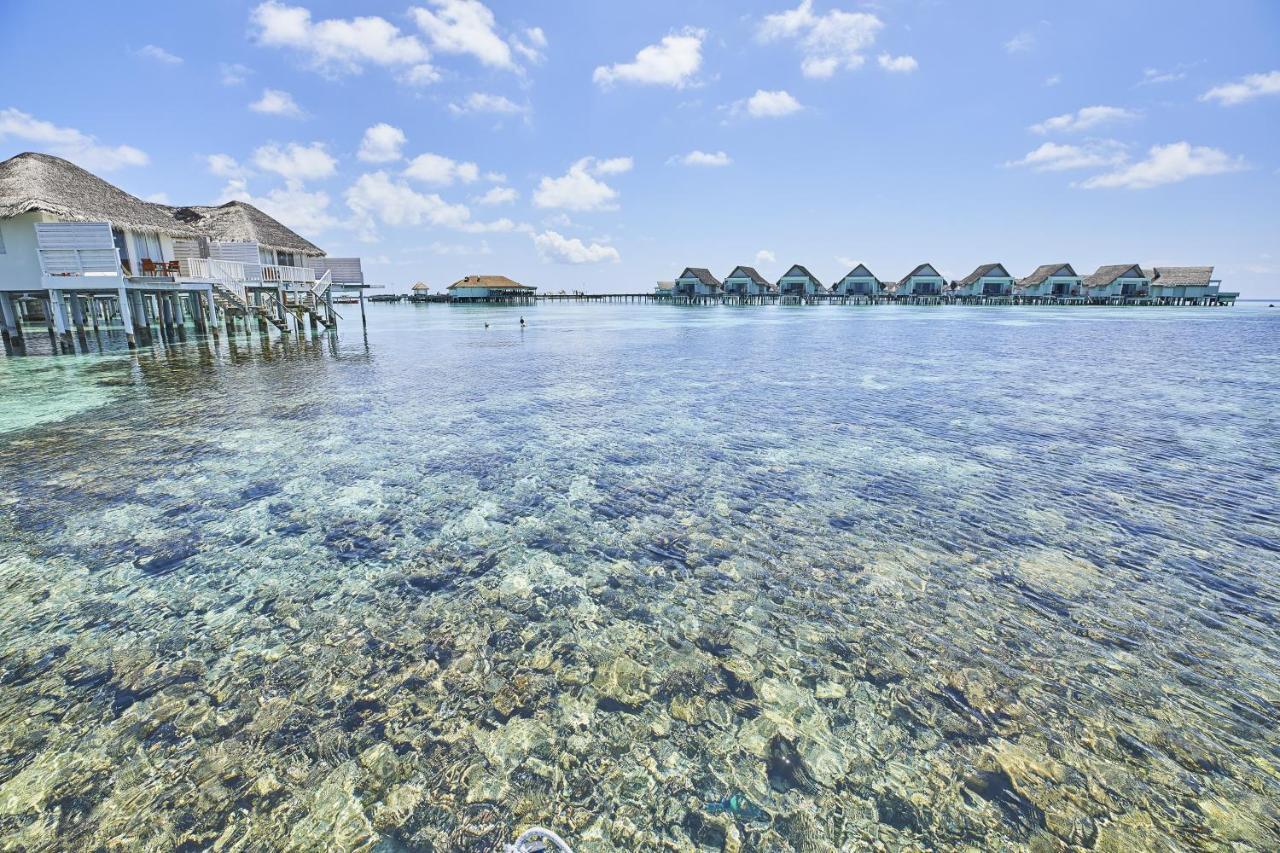 The Centara Collection, Island & Maldives - 30 Percent Discount On Transfers For Min 4 Nights And More, Valid For Reservations Between 11th Feb 22 Dec 2025